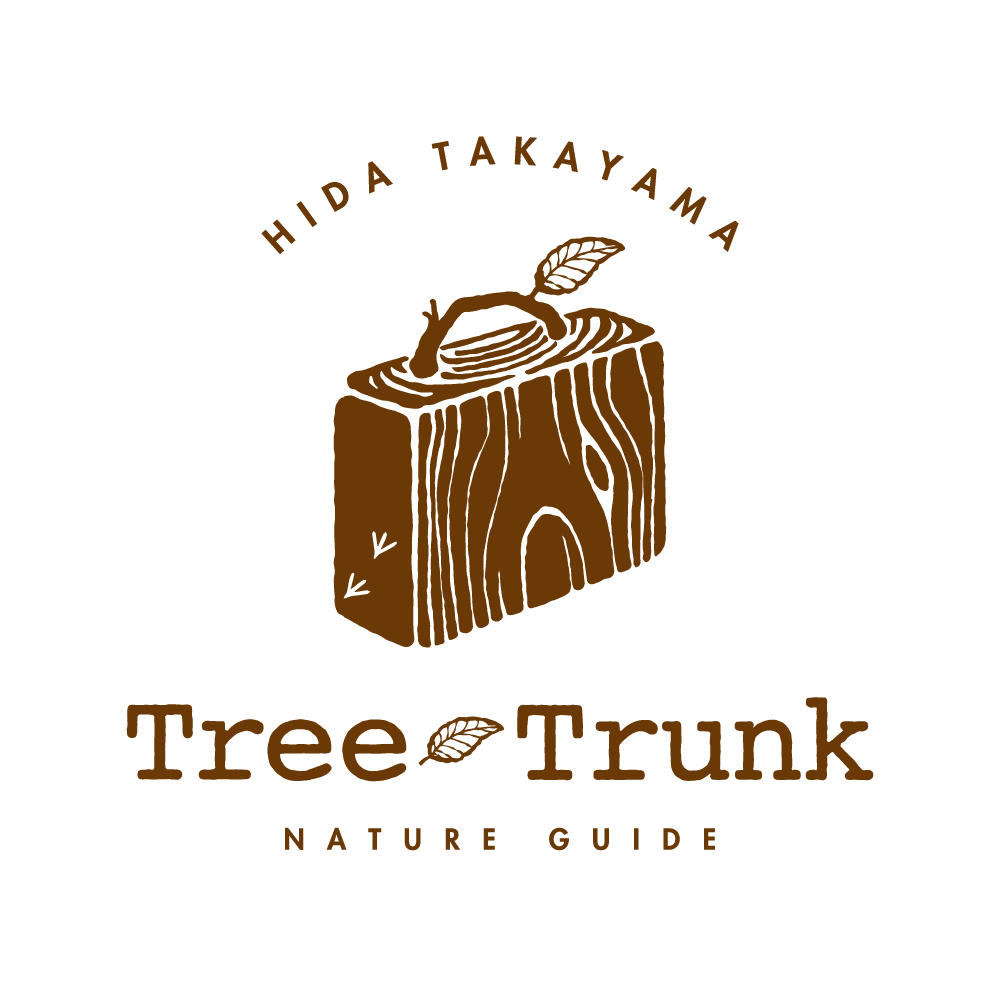 Tree trunk｜ロゴ・名刺デザイン
